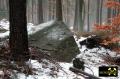 Findling 3 bei Haselberg nahe Wierzen in der Märkischen Schweiz, Brandenburg, (D) (11) 24. Januar 2016.JPG